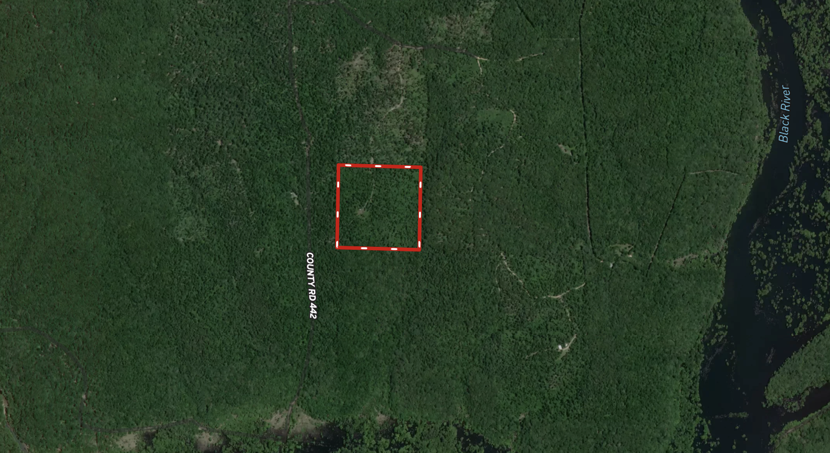Secluded Wooded Acreage in the Missouri Ozarks